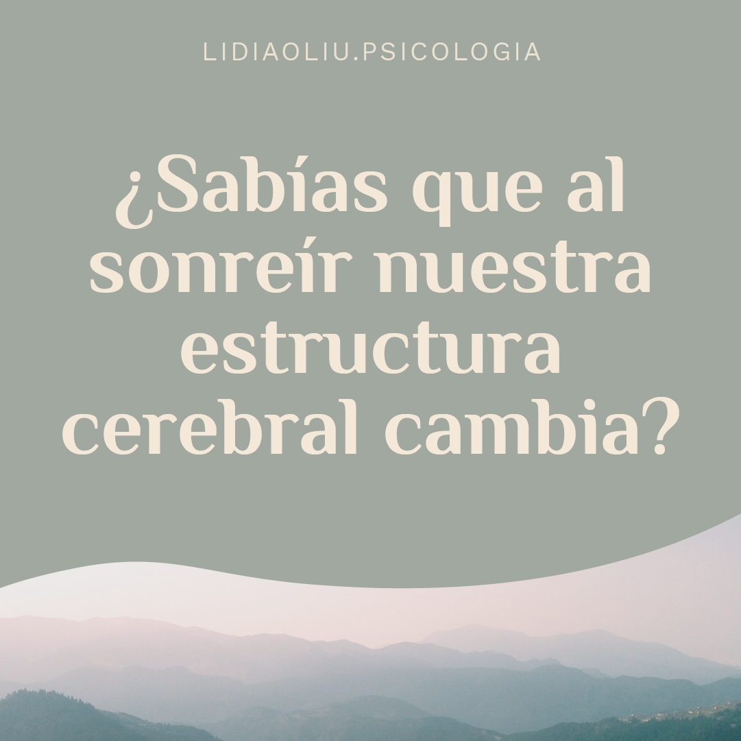 sonreir estructura cerebral